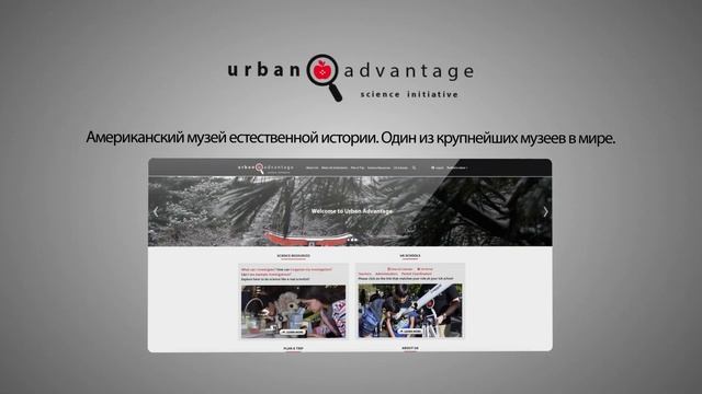 Презентация Студия Давыдова