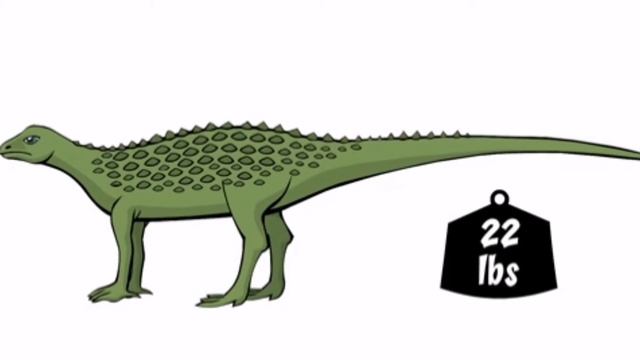 DINOZAVRLAR HAQIDA BILASIZMI? BILIB OLING 2022 #DINOZAVR #динозавры