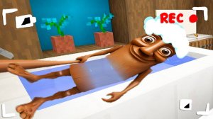 ПОДГЛЯДЫВАЮ за ТУНГ САУР через СКРЫТУЮ КАМЕРУ в МАЙНКРАФТ БРЕЙНРОТ ЖИВОТНЫЕ