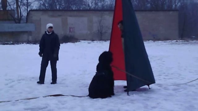 Горка . удержание и облаивание . с помощником смотреть онлайн