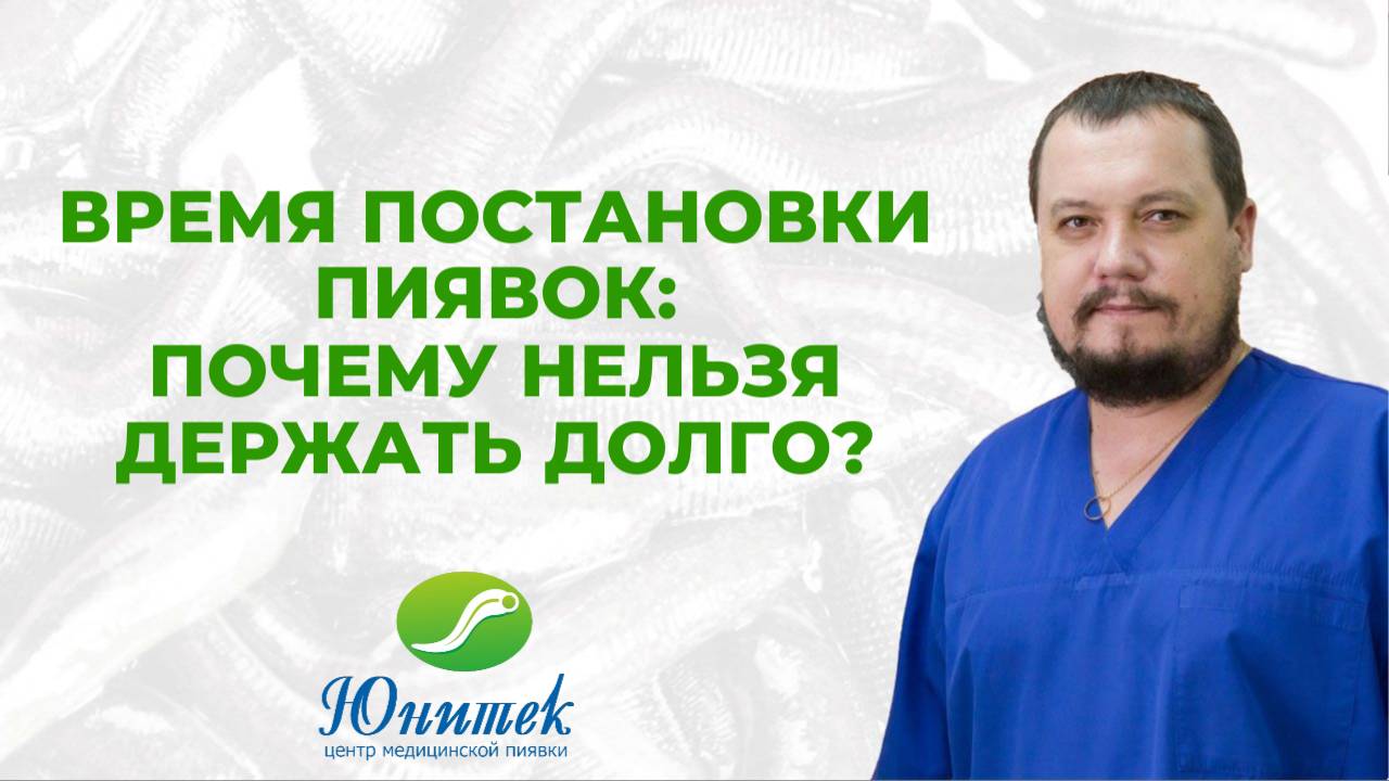 Время постановки пиявок: почему нельзя держать долго? смотреть онлайн