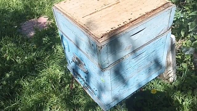 "Майский мëд?" смотреть онлайн