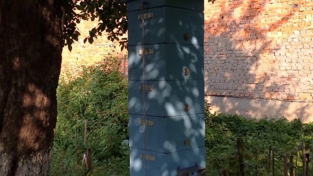 Альпійський вулик, або вулик удав смотреть онлайн