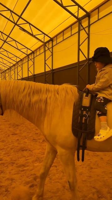 Верховая езда без седла 🐎 3.5 года 🤍