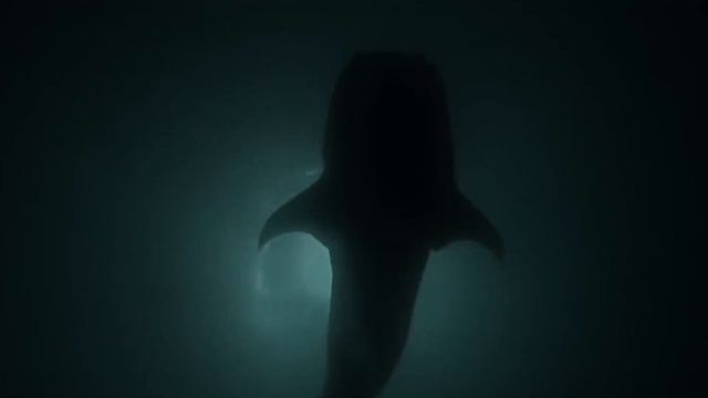 Пророк и рыба. Песня Олега Лагуткина. Стихи Елены Моргуновой. Аранжировка Алексея Левина смотреть онлайн
