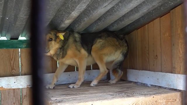 Новости 11 09 2018 смотреть онлайн