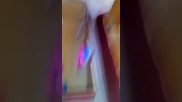 Мой дом в липучках(1) смотреть онлайн