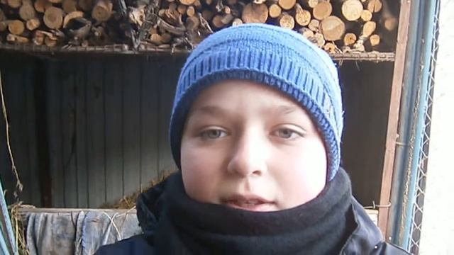 Вєтнамські Свині . Даю ліки від ростройства шлунку. смотреть онлайн