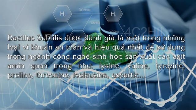Bacillus Subtilis | Nguyên liệu TPCN Thiên Nguyên смотреть онлайн
