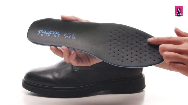 Видеообзор I Мужские ботинки GEOX U SPHERICA EC1 3012513 смотреть онлайн