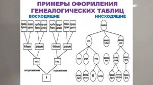 РОДОСЛОВНАЯ. КАК СОСТАВИТЬ ДРЕВО? ПОНЯТИЯ ИСТОРИИ В 3м КЛ  РОДОСЛ52йv3mKLИстРосс