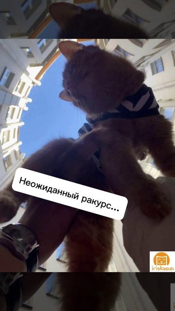 Днюха Ириски в Питере🎉