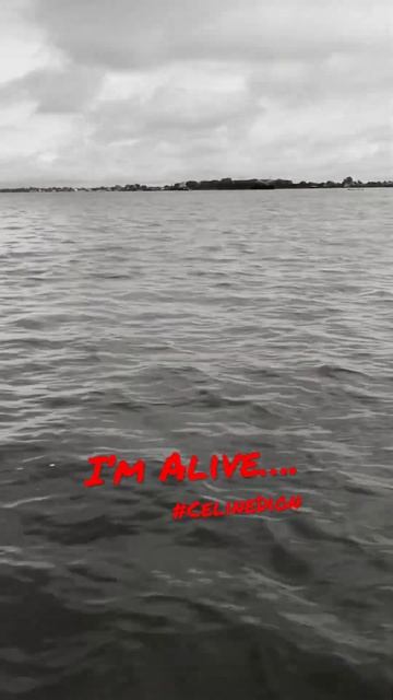 I’m Alive~Celine Dion #shorts #evergreenlovesong #remix смотреть онлайн
