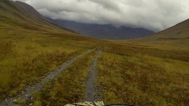 Через Кузеты смотреть онлайн