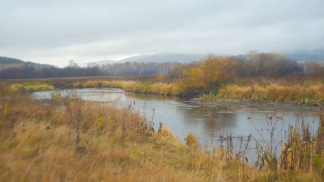 Осень смотреть онлайн