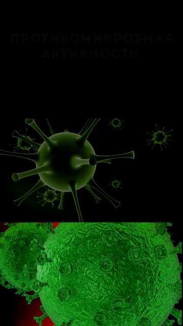 Чеснок: Здоровье в каждом зубчике @medcorpus @shipascope смотреть онлайн