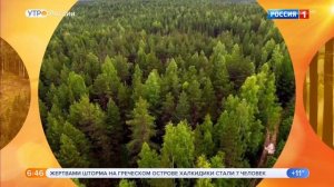 Елена Николаева Утро России Эфир от 12.07.2019