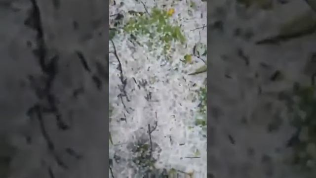 MG/BR262/Florestal: Granizo no O Milhão! Ia parar caminhonete debaixo árvore para não amassar... смотреть онлайн