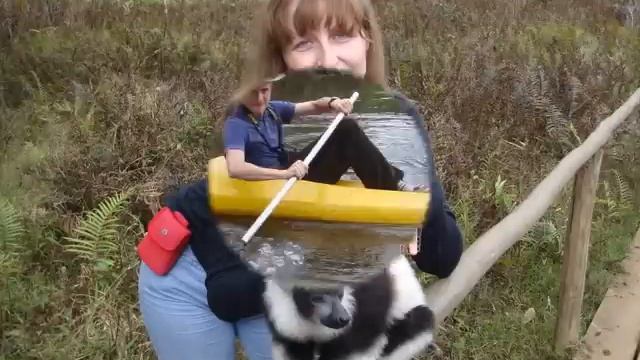 Salim Vazaaa !!! смотреть онлайн