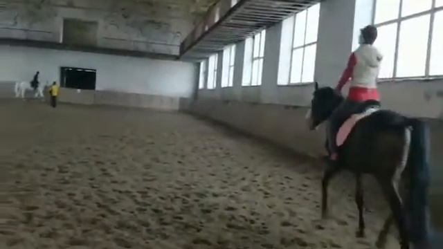 Тренируемся прыгать с Санрейчиком) смотреть онлайн
