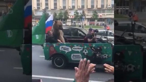 ЧМ-2018. Медведь в центре Москвы показывал неприличные жесты.