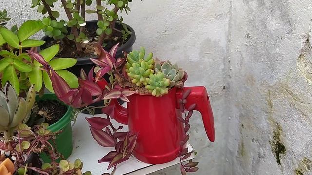 Cantinho Com Suculentas:/Com Idéias de Reciclagem Resgatado do Lixo... смотреть онлайн