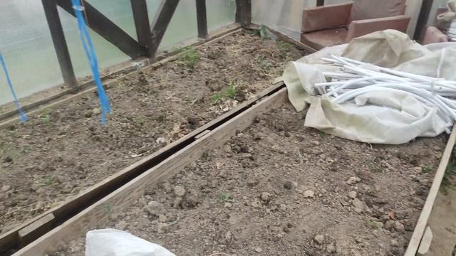 Урожай свёклы