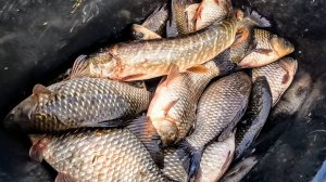 Рыбалка на хапуги с лодки. УРА НАЧАЛОСЬ! Открытие рыбалки по жидкой воде или рыбалка в Сибири.