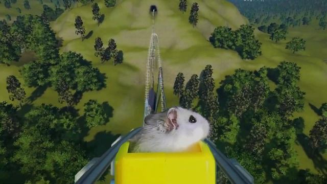 Winter Hamster in Roller Coaster The Horror Shark Coaster смотреть онлайн