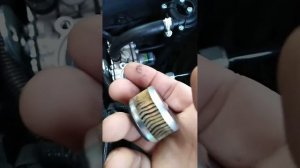 Замена фильтра гбо в редукторе томасетто tomasetto