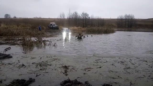 VID 20171111 151000 смотреть онлайн