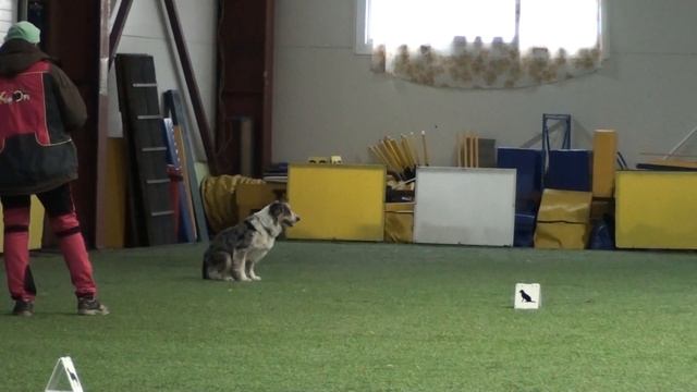 ОБД-3, Архипенко и Тыква, часть 2 смотреть онлайн