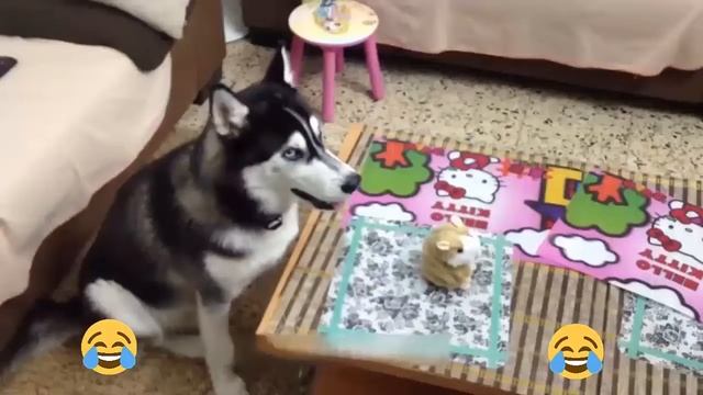Talking Hamster смотреть онлайн
