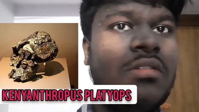 Kenyanthropus platyops|English |INDEPENDENT CJ смотреть онлайн