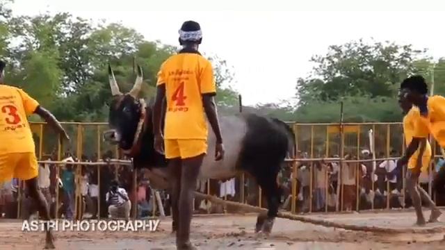 Madurai tpk sms selvakumar annan kurups смотреть онлайн