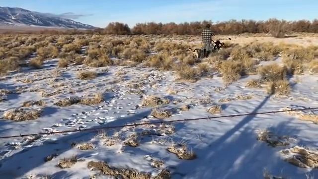 Shedding life “Finally chased a Kitty cat” Vlog. 104 смотреть онлайн