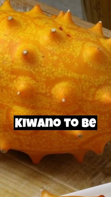 Hated by most Loved by few #garden #shorts #fruit смотреть онлайн