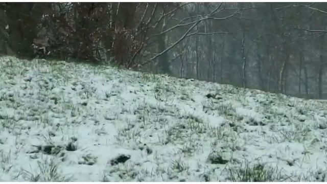 АSMR  Метель для быстрого успокоения и расслабления.  Schneesturm