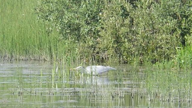 Удачный улов смотреть онлайн