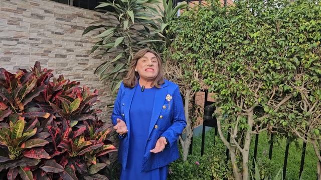 DINA Y EL ROLEX смотреть онлайн