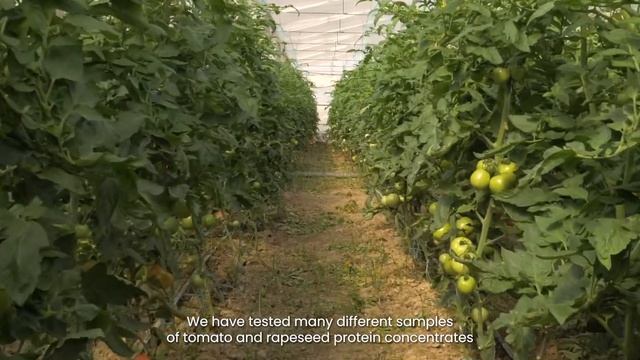 Upcycling food waste into new proteins and functional ingredients смотреть онлайн