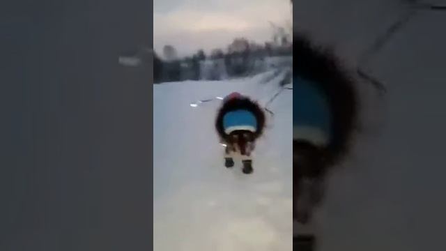 Приколь котят 🐈 привет придурки 2021 оруууууу смотреть онлайн