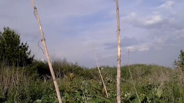 Брошенный огород смотреть онлайн