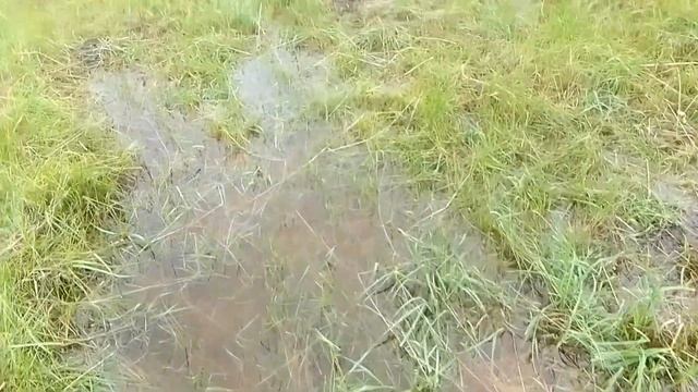 После проливного дождя смотреть онлайн