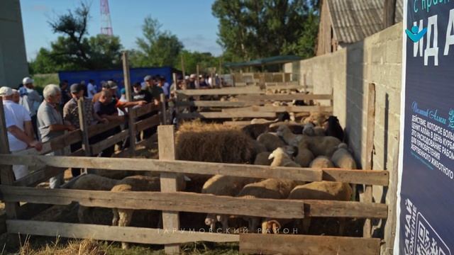 КУРБАН БАЙРАМ 2024 смотреть онлайн