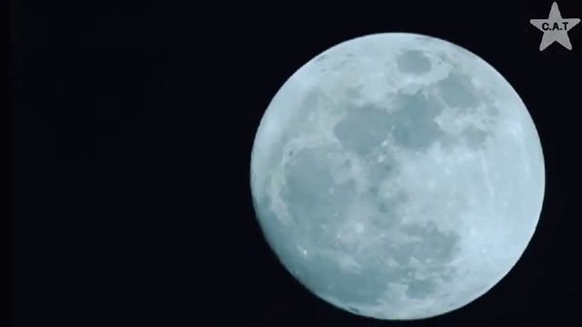 Филин... Стих - страшилка 🔥 смотреть онлайн