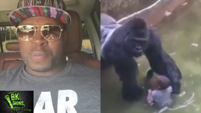 Harambe The Gorilla