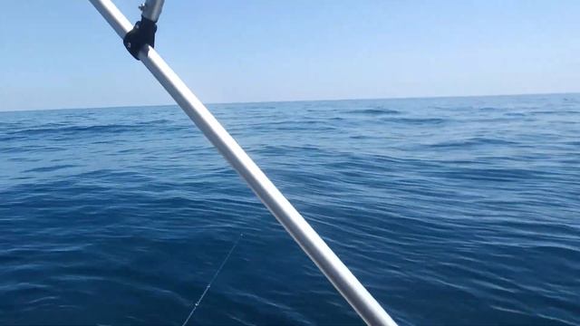 STRIKE PADU MEMBUATKAN BOT HURA HARA, STRIKE IKAN PADU MANTAP GUYS.... смотреть онлайн