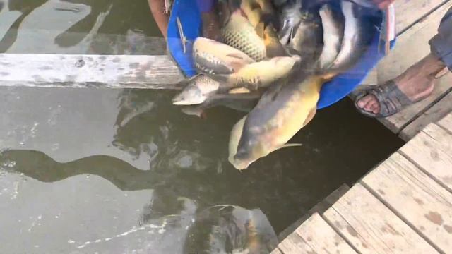 7 июля 2022 г. смотреть онлайн