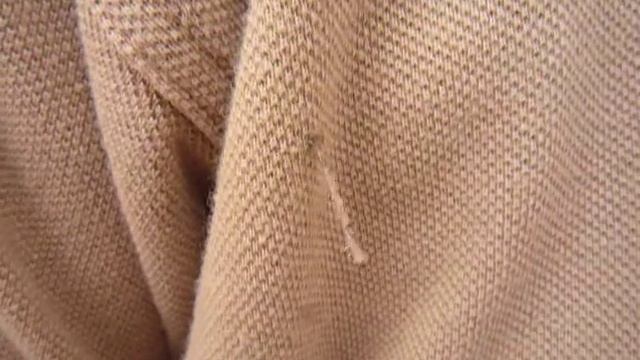 Gusano medidor, Mocis latipes смотреть онлайн